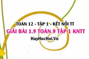 Bài 1.9 Toán 12 tập 1 SGK Kết nối tri thức